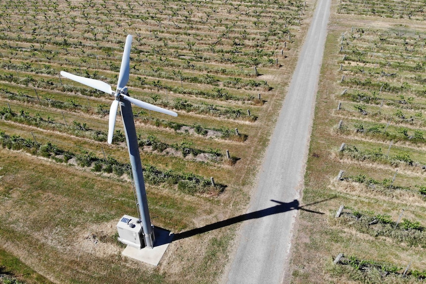 A fan that looks like a windmill on a vineyard at Henschke Wines in South Australia.