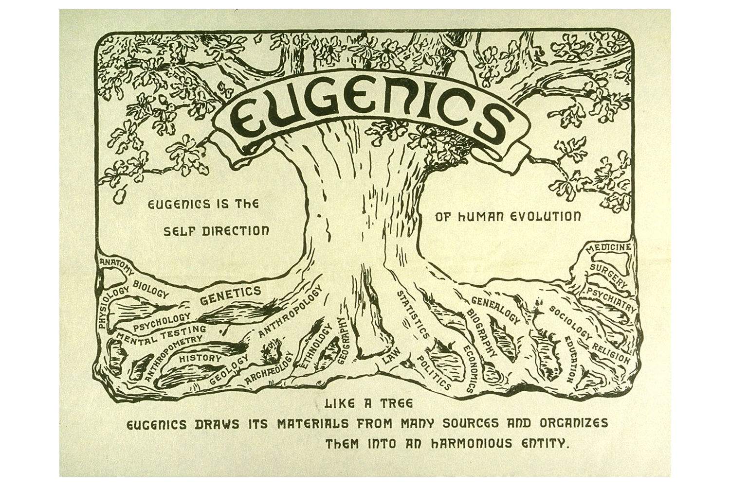 The hidden history of eugenics: the eugenic turn in schooling - ABC listen