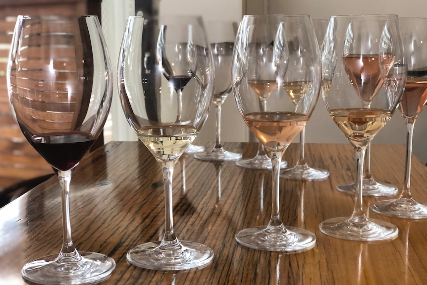 Glasses of wine lined up as part of a tasting