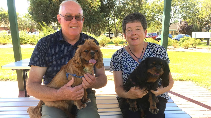 Shelby and Dixie the Cavalier King Charles Spaniels with their owners