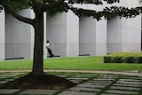 A worker enjoys the surroundings of the Senate courtyard.