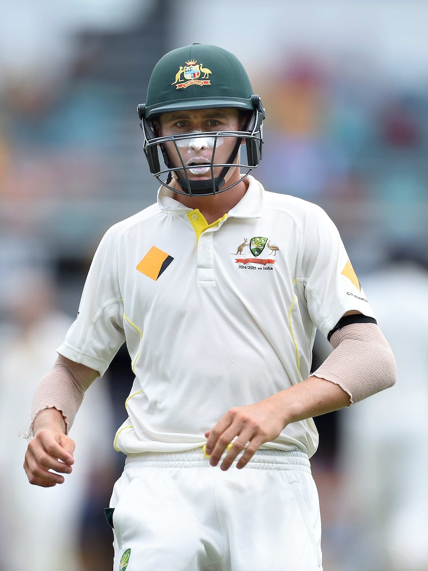 Marnus Labuschagne makes a sub appearance for Australia