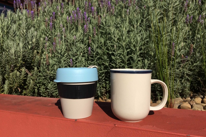 A reusable coffee cup and a mug