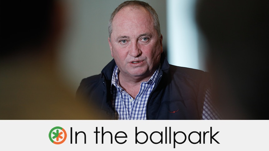 Barnaby Joyce wears a blue check shirt and talks in between two sillouhetted figures. Verdict: IN THE BALLPARK