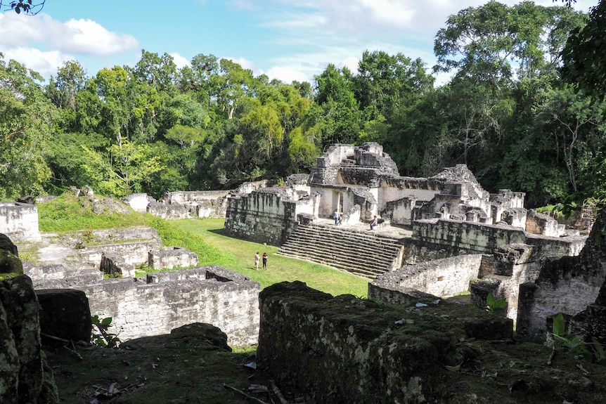 Damagted stone structures are surrounded by dense forest.