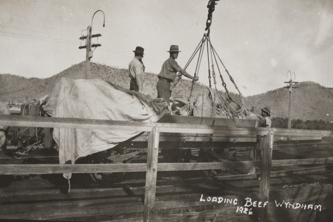 Black and white photo of two men wearing hats loading beef into a tram at the port