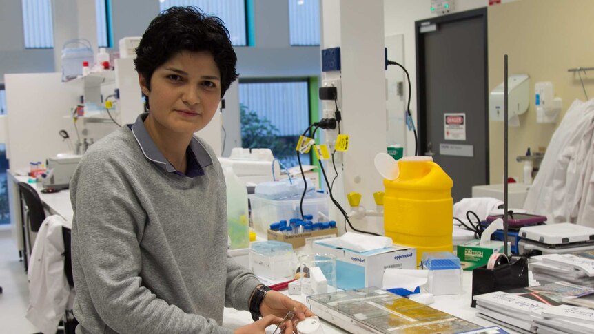 Noushin Nasiri in the lab at UTS