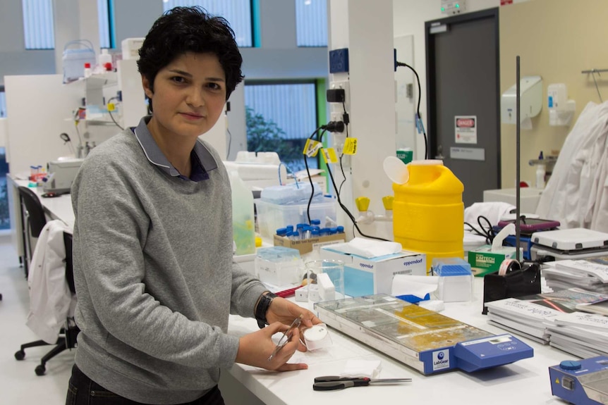 Noushin Nasiri in the lab at UTS