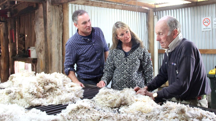 A meeting of minds at the wool table