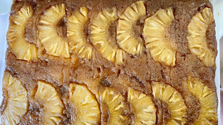 A golden brown rectangular cake with half slices of pineapple arranged in rows on the top.