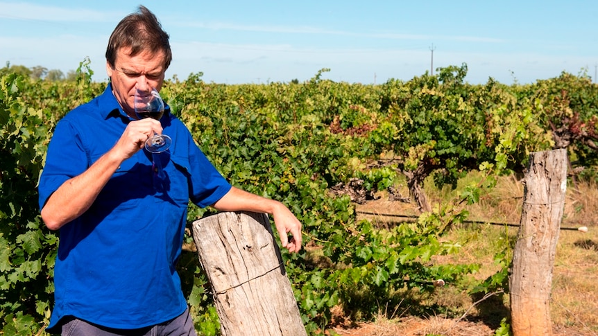 Bruce Redman smelling wine at his vineyard