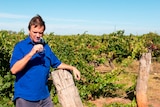 Bruce Redman smelling wine at his vineyard