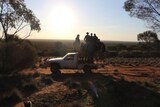 A white ute is parked in the bush with a group of teenage boys standing on the tray 