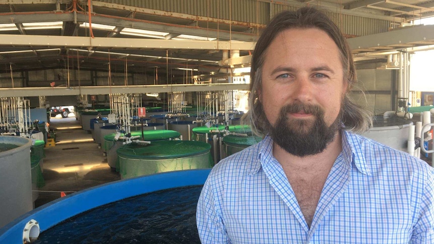 Dr Mike Steer at the South Australia Aquatic Sciences Centre