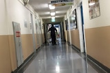Patient being wheeled down corridor at Royal Hobart Hospital.