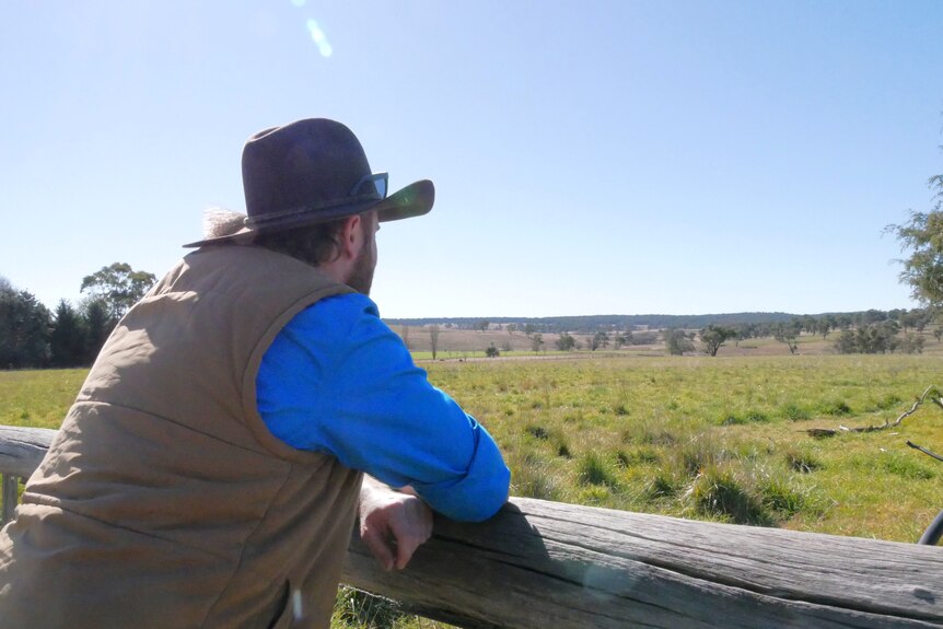 A man in an Akubra leans against a timber rail, looking out a green paddock.