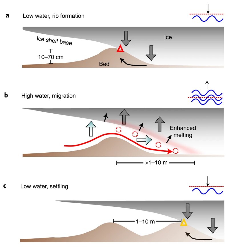 A diagram of a glacier forming ridges on the seafloor.