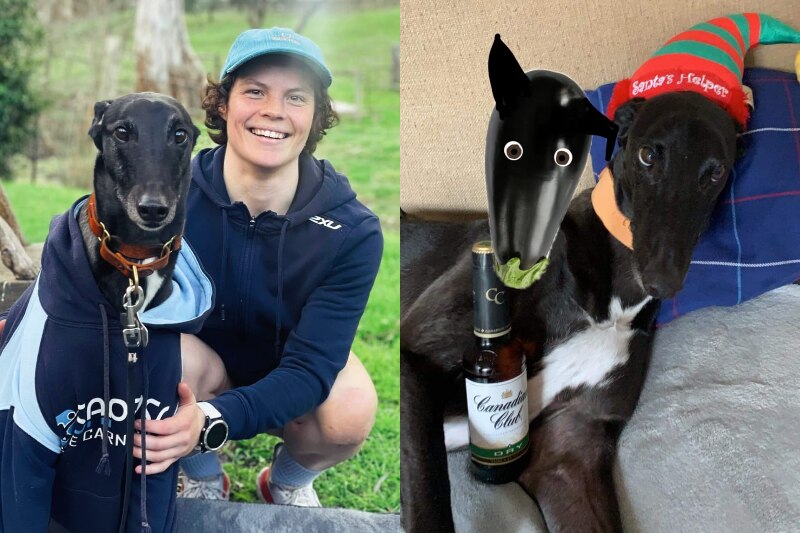  Left: Ebony O'Dea is pictured with her dog, 'Eggy' or Eggplant. Right: Eggy with an Eggplant superimposed next to his head