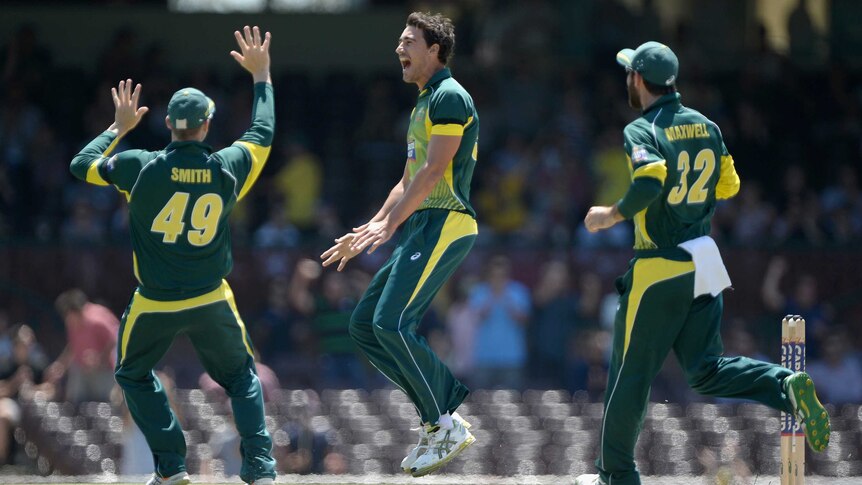 On fire ... Mitchell Starc celebrates with team-mates after dismissing James Taylor