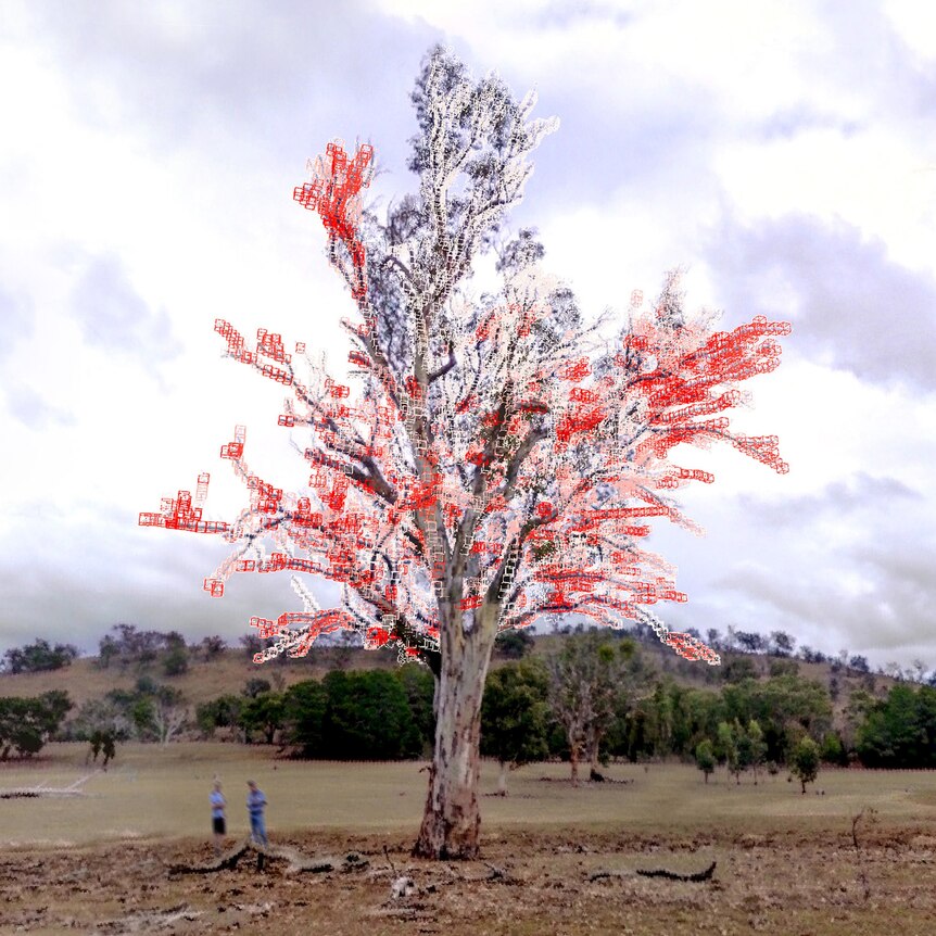 a tree with blue and red digital elements overlayed it's branches stands in the centre of a field 