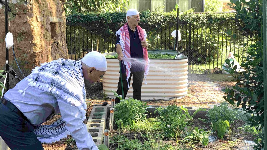 Two men tend to a garden