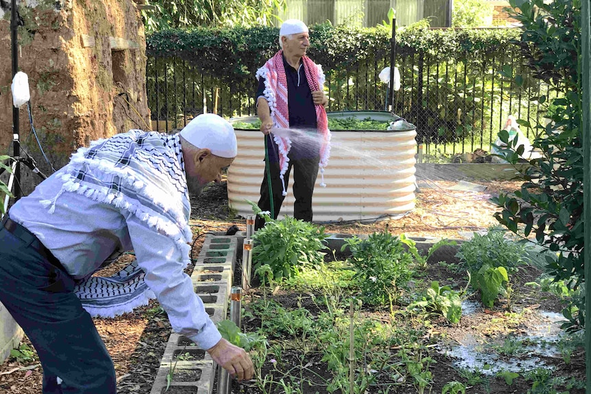 Two men tend to a garden