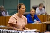 a young woman talking in parliament