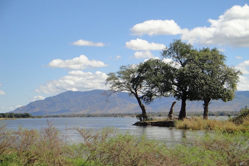 A sweeping landscape photo shows a blue river leading the eye out to mountains on the horizon with three trees in the foreground