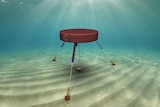 A piece of CETO 6 technology underwater.