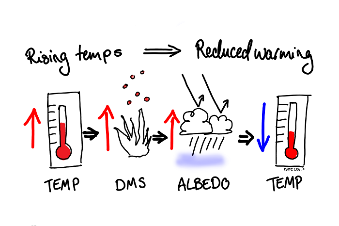 Increased temps = increased DMS = increased albedo = lower atmospheric temperatures.