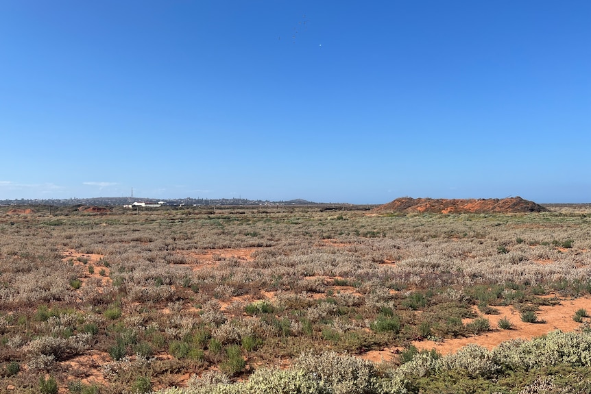 Arid salt pans on Whyalla's outskirts