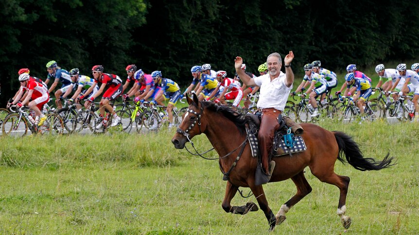Horse power during the 2012 Tour de France.