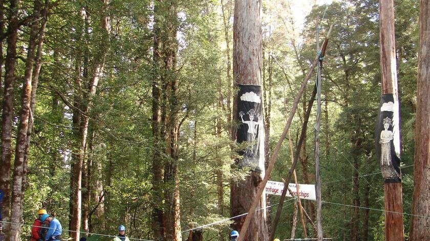 Florentine protest site, southern Tasmanian forest. car in foreground.