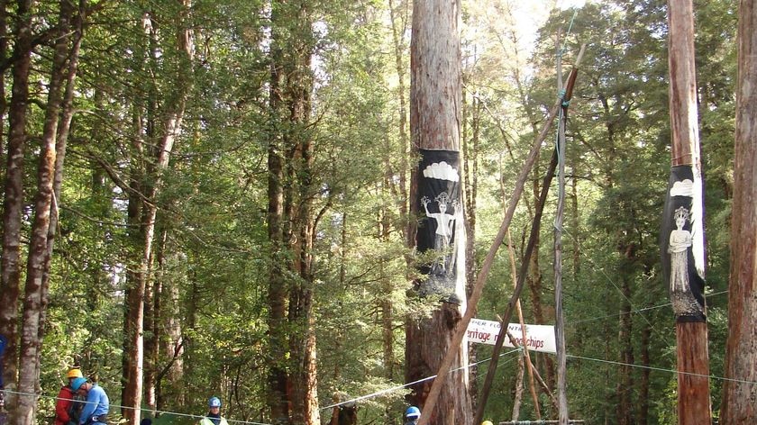 Florentine forest protest camp, Tasmania