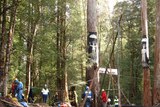Florentine protest site, southern Tasmanian forest. car in foreground.