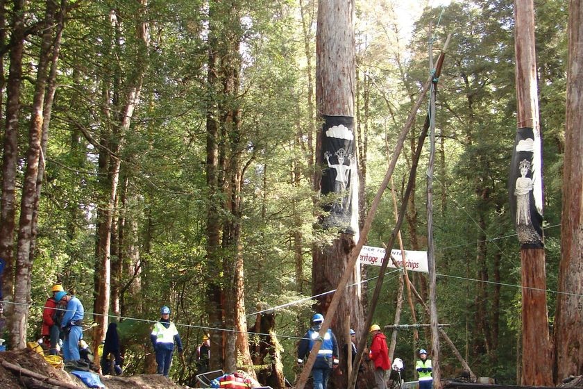 Florentine protest site, southern Tasmanian forest.