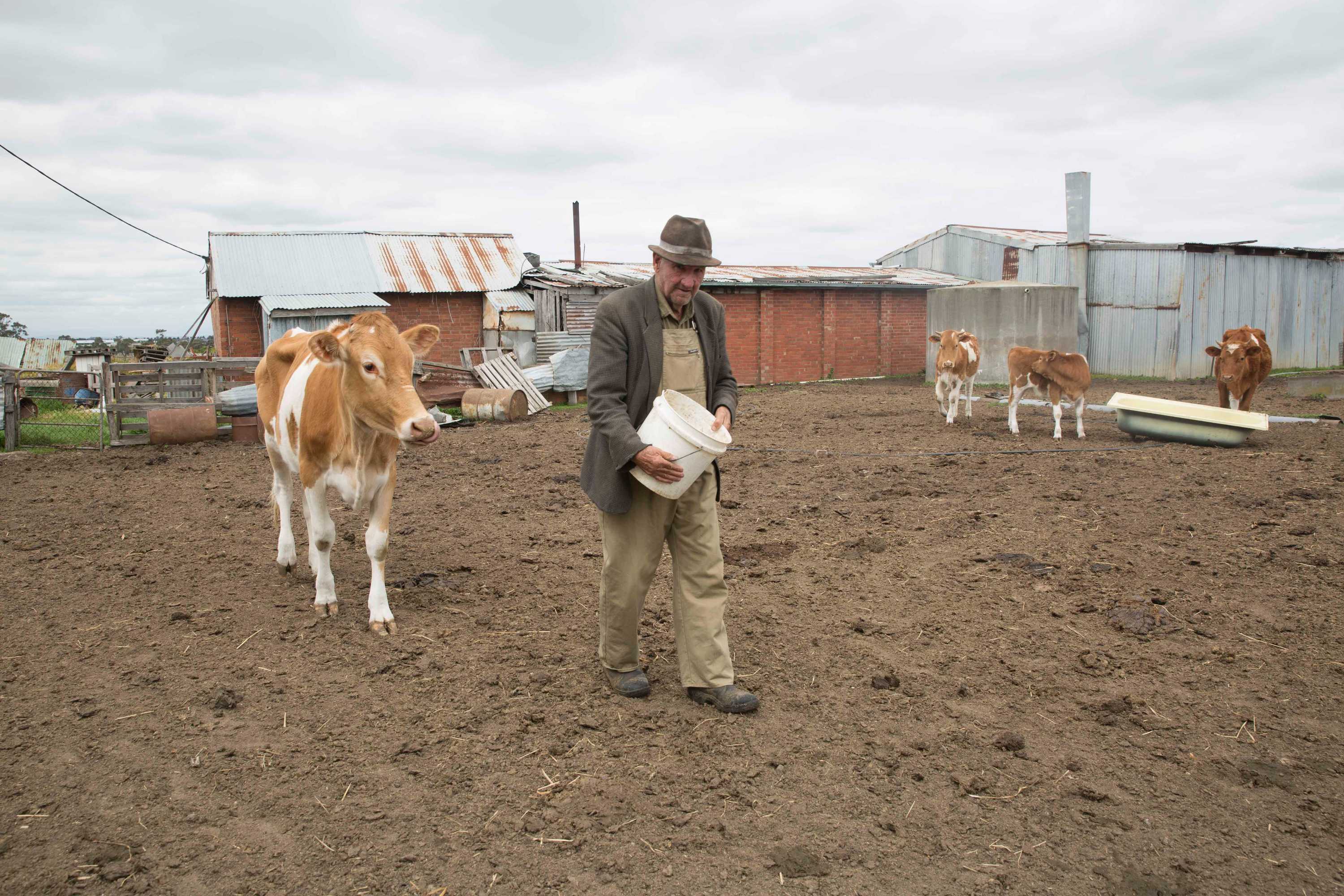 Mickleham What's it like to live in Australia's fastestgrowing suburb