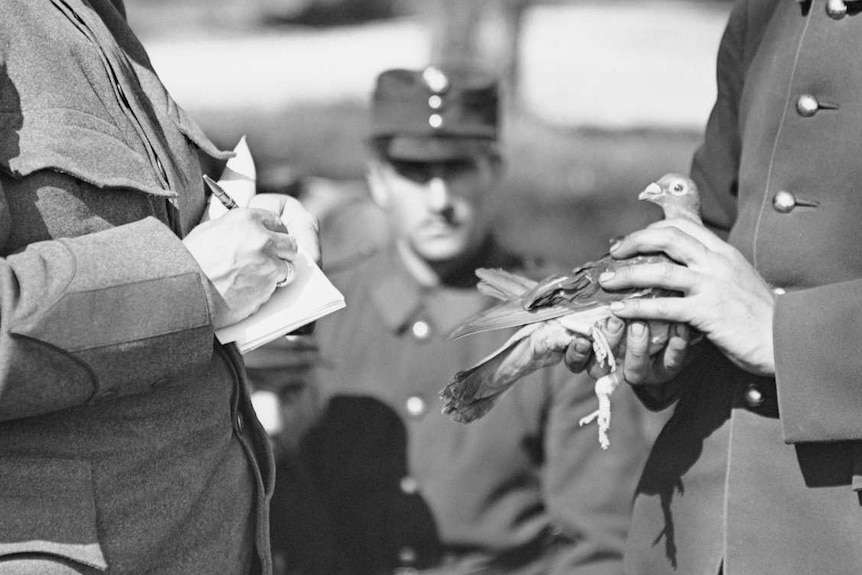 A man writes a message to be attached to a pigeon, held by another man.