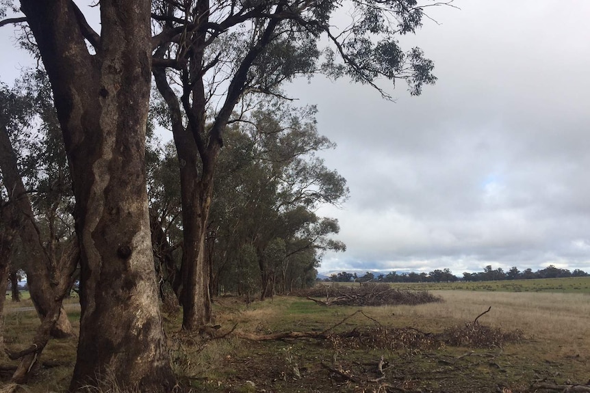 Work started on this fence in January and has since been halted by the Strathbogie Council