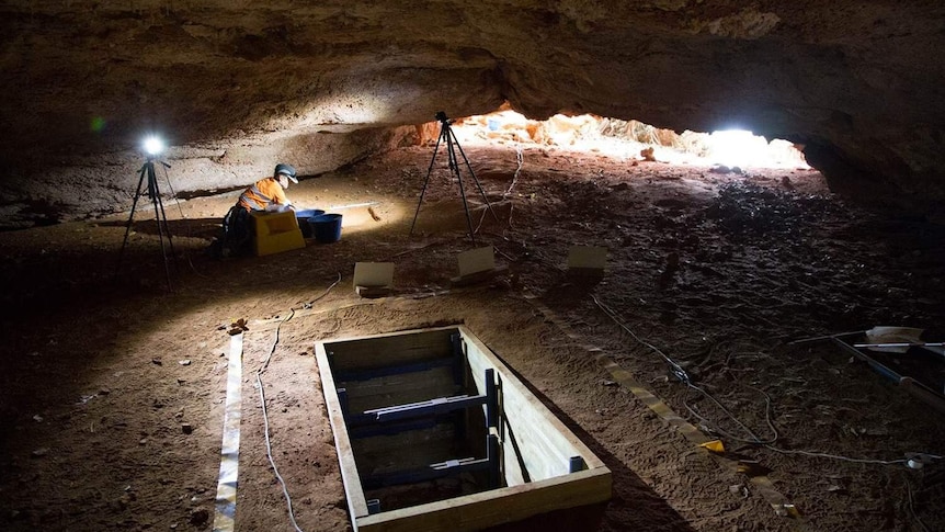 An archaeologist works inside Boodie Cave with tripods and sampling equipment.