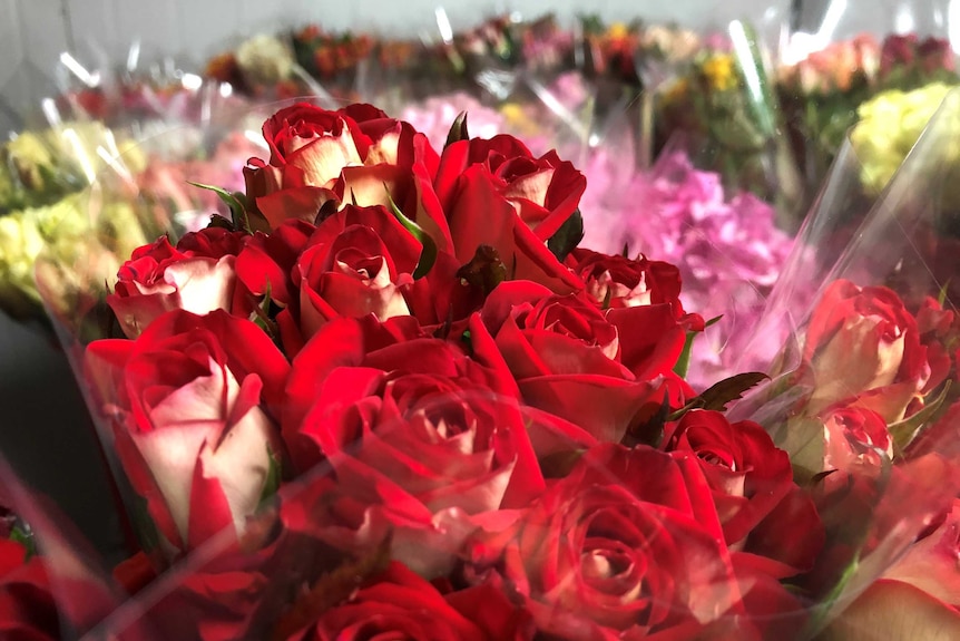 A deep-red bunch of roses in the foreground, with an array of other coloured roses in the background