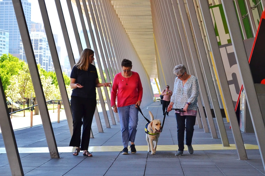 Three women walk outside with a labrador.