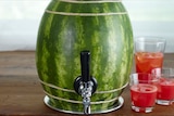 A watermelon keg