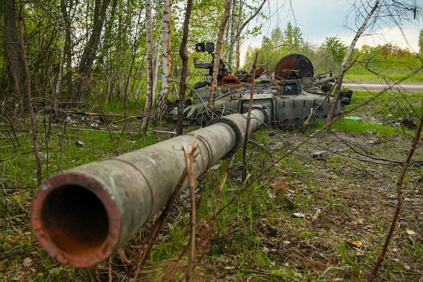 The barrel of a gun extending from a partially destroyed tank sits amid green vegetation 