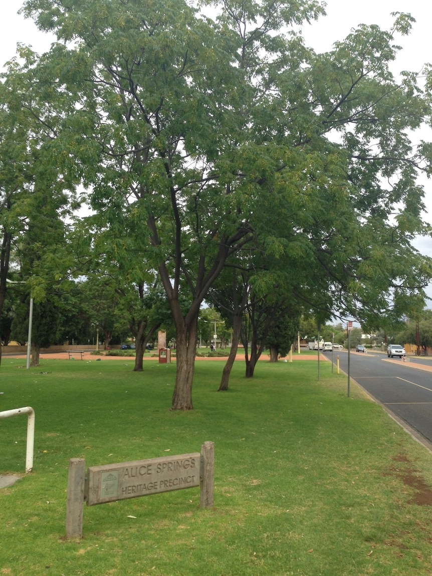 Alice Springs trees