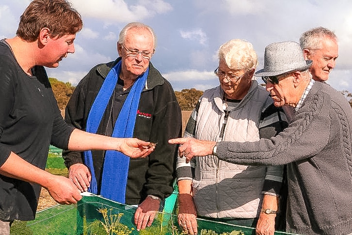 A woman holds out a snail to two older men and one older woman to examine in a field outside on a sunny day.