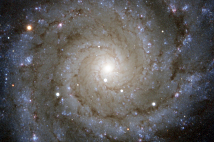 Spiral galaxy M74 captured by ESO's PESSTO survey