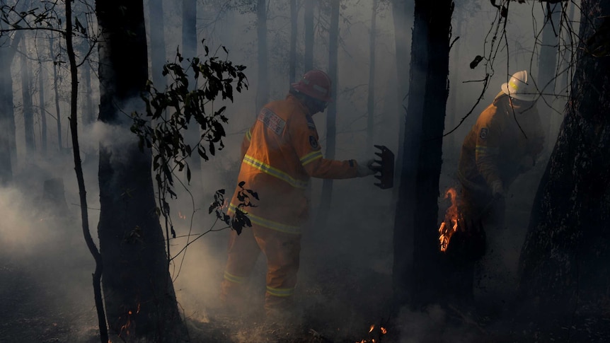 NSW Rural Fire Service crews mop up