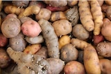 Potatoes in all their forms — boiled, mashed, baked — lead to increased risk of hypertension.