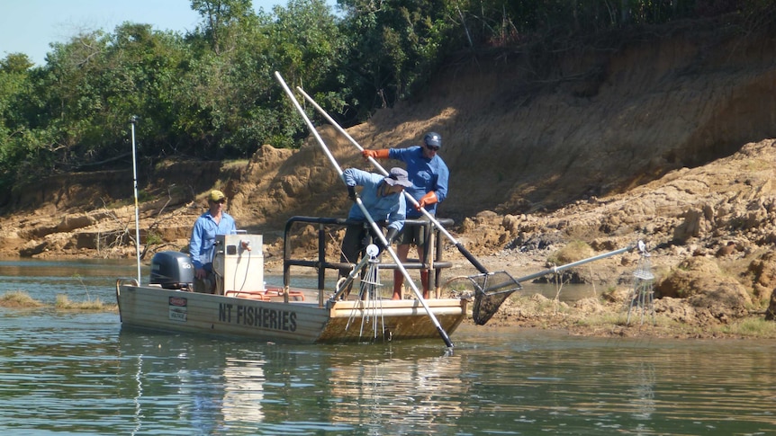 Electrofishing teams of researchers on oat floating on Daly River.